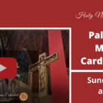 Web Slider Palm Sunday 2022 with Cardinal Livestream