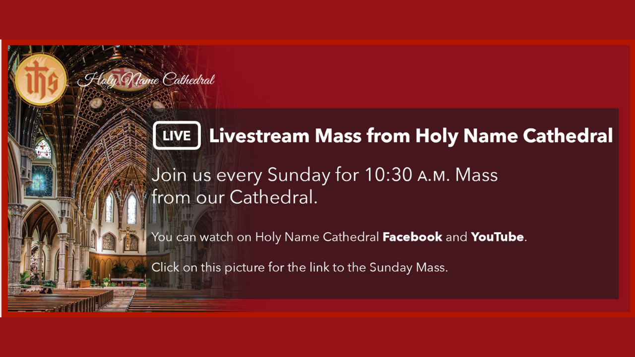 Christmas Eve Mas Chicago 2022 Home Page | Holy Name Cathedral Parish Holy Name Cathedral Parish