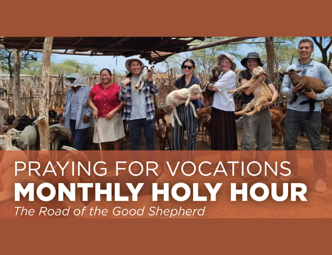Website - May Holy Hour Road of Good Shepherd