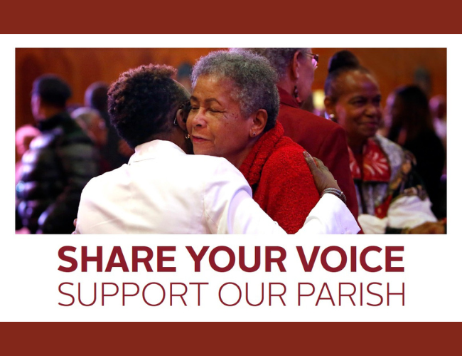 Website - DMI Portal-2